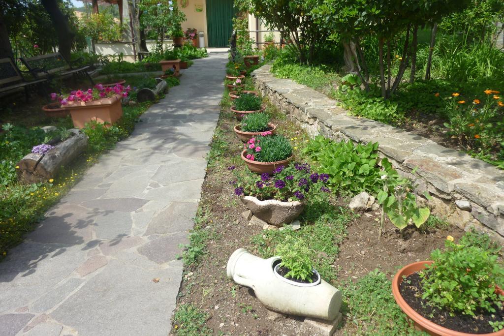 Agriturismo Ticci Seulo Exterior photo